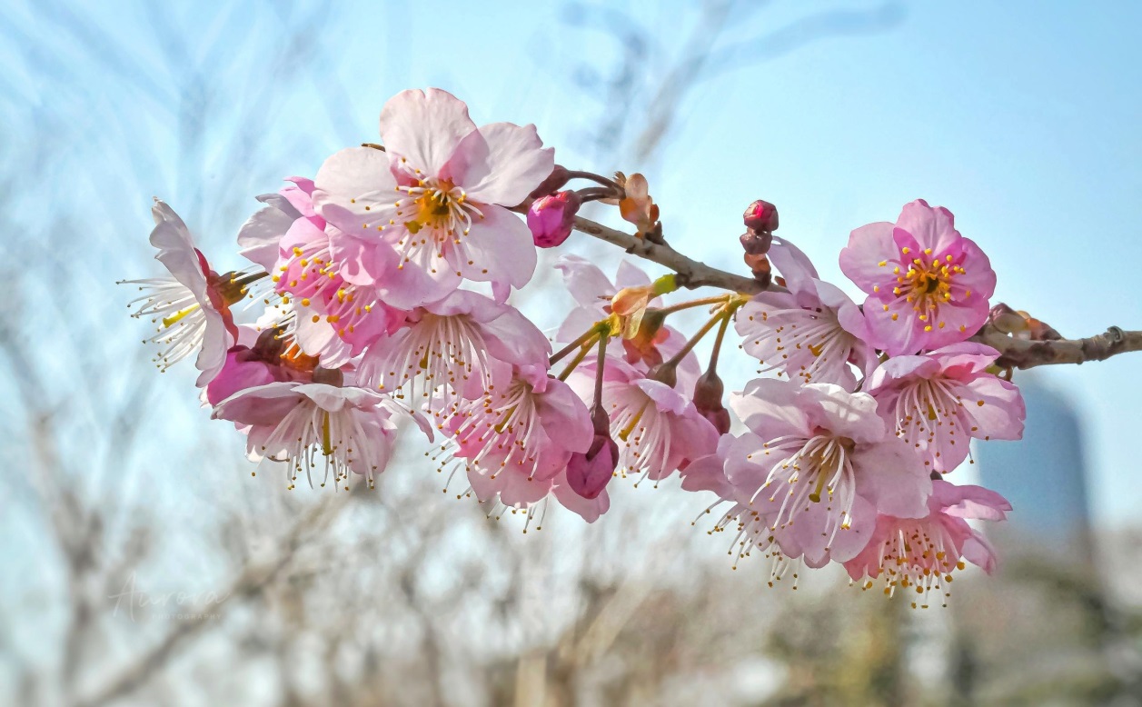 说明: //boot-img.xuexi.cn/image/1006/process/2f652ccce9ff40e4b3f5c3306203bd90.jpg