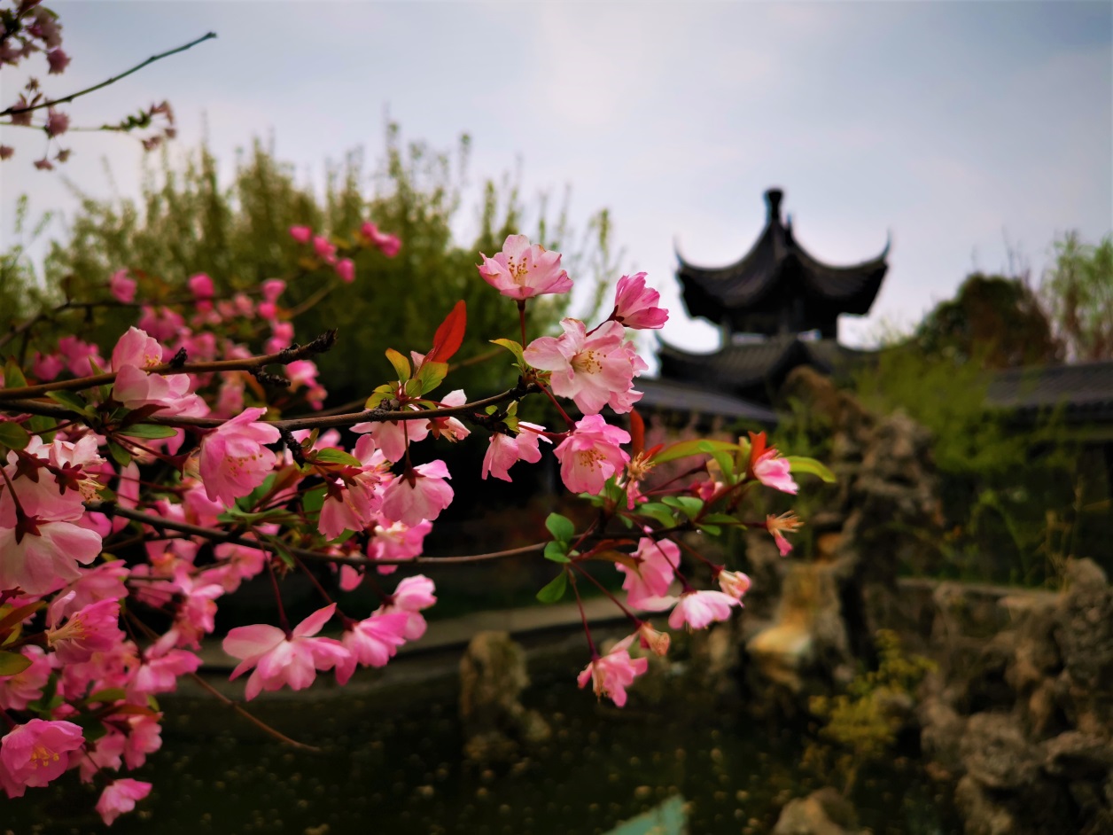 说明: //boot-img.xuexi.cn/image/1006/process/622f2fcf1d5c4ef590d078d865823700.jpg