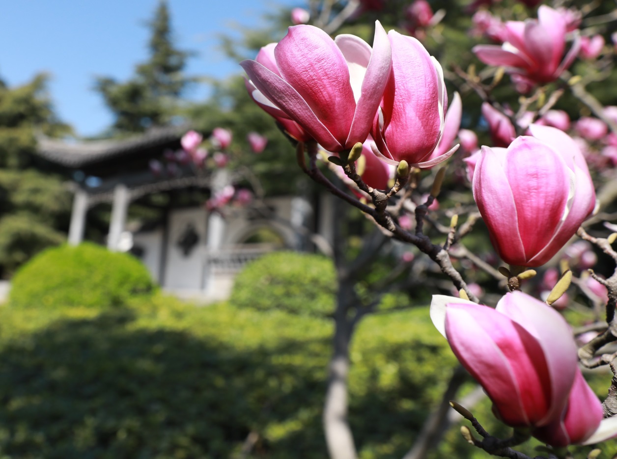 说明: //boot-img.xuexi.cn/image/1006/process/b23ec50f6cef4e8d9c1e75527965884d.jpg