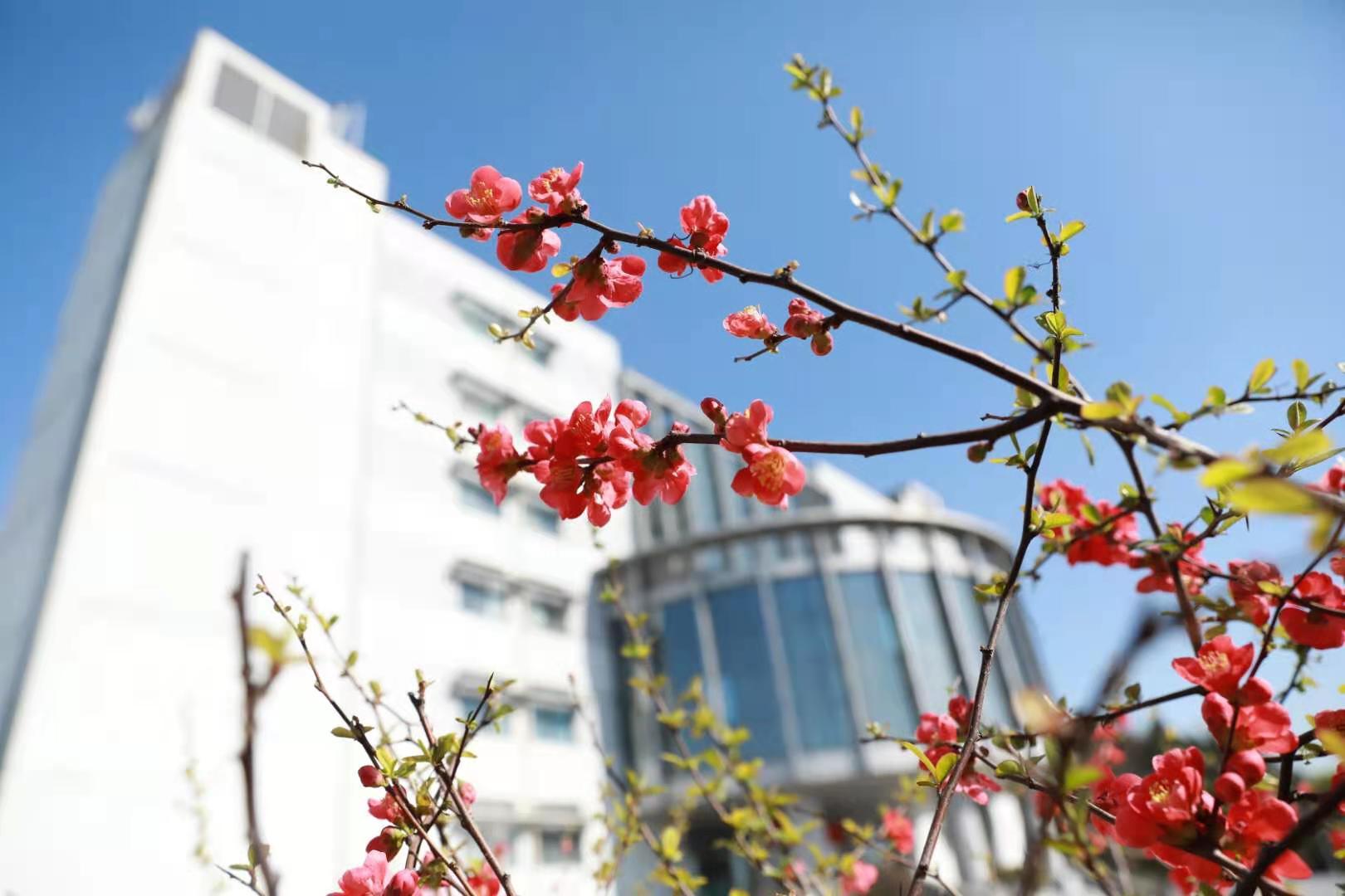 说明: //boot-img.xuexi.cn/image/1006/process/22949a44ff794f7da02627ad171c6af7.jpg