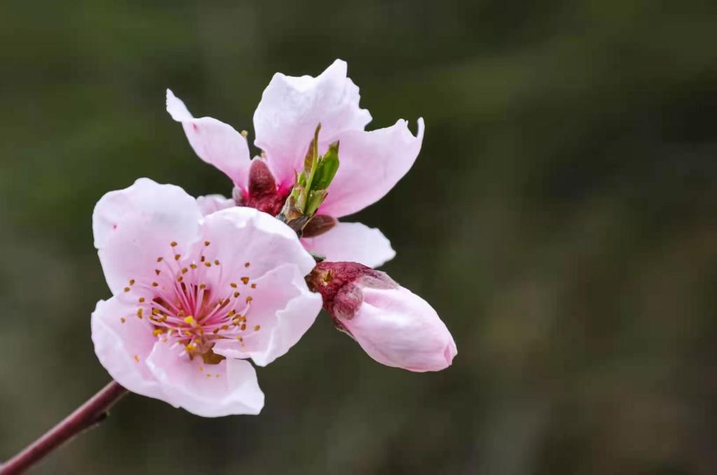 说明: //boot-img.xuexi.cn/image/1006/process/c2fa52098d8f4387b6a74212d57121bb.jpg