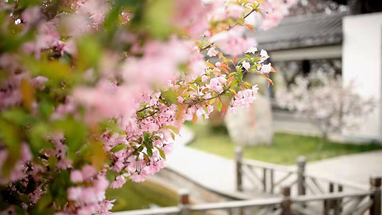 说明: //boot-img.xuexi.cn/image/1006/process/e3b1daa24b8441819f1194584123a211.jpg