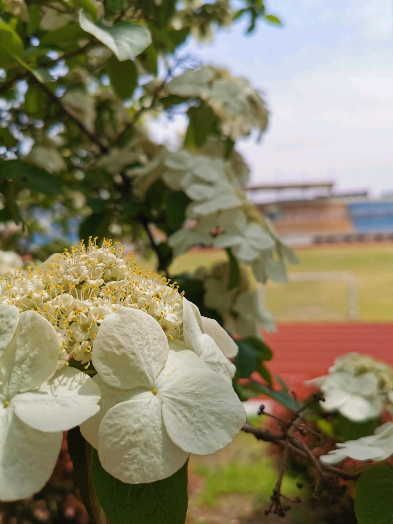 说明: //boot-img.xuexi.cn/image/1006/process/c4c6fa3c49fb467282911a5f107101a7.jpg